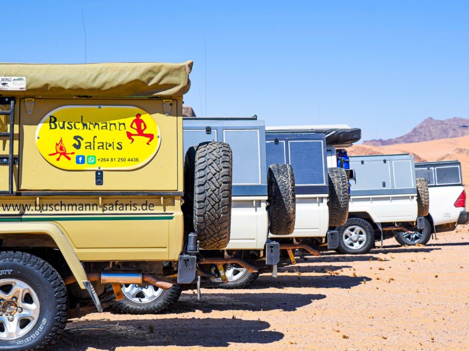 Sechs Oryx-Antilopen stehen in einer trockenen Landschaft vor roter Felsenformation.