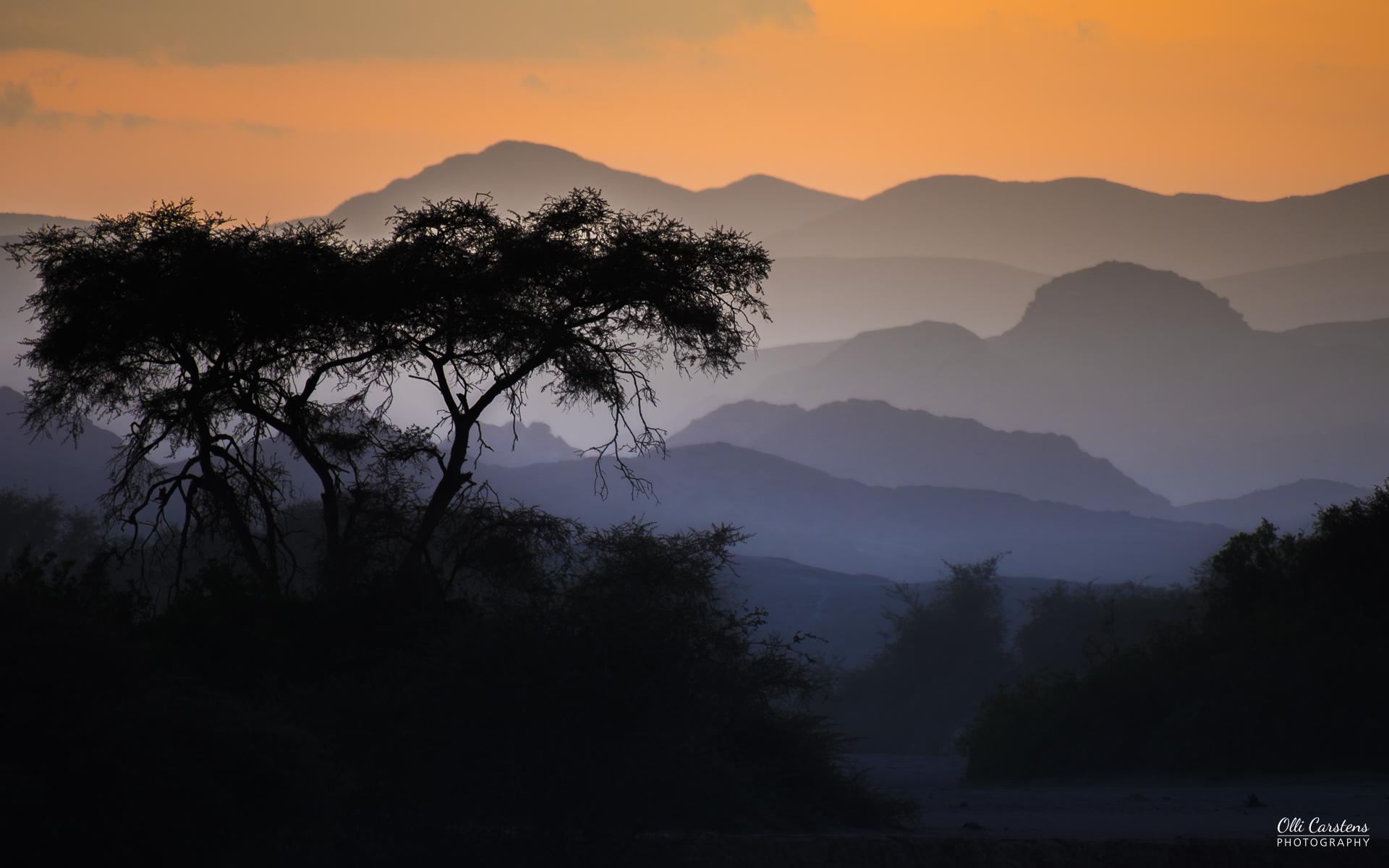 Impressionen einer Morgenstimmung in Namibia. Olli Carstens mit Buschmann Safaris. Silhouetten von Bäumen und Hügeln bei Sonnenuntergang in sanften Farbtönen.
