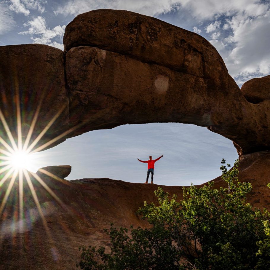 Kahlbäume stehen vor einem bewölkten Himmel in einer felsigen Landschaft.