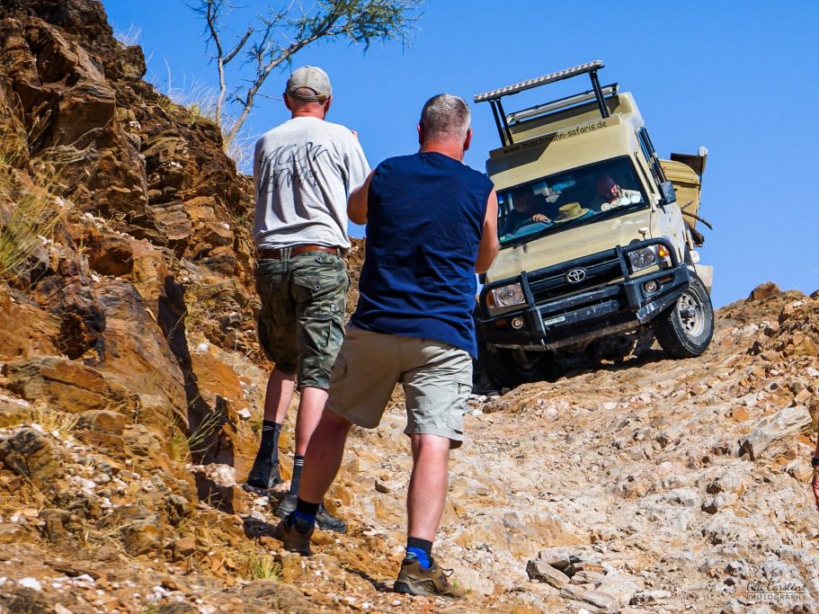 Sechs Oryx-Antilopen stehen in einer trockenen Landschaft vor roter Felsenformation.